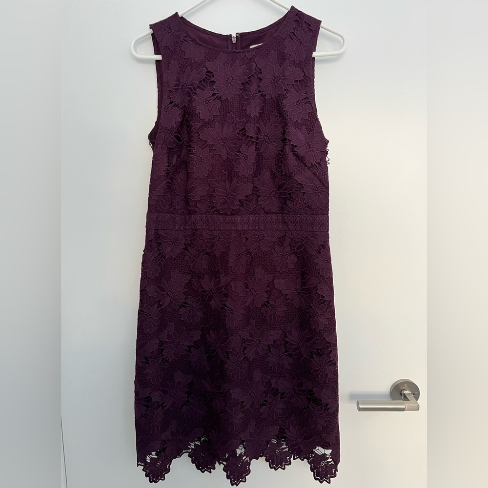 Loft purple lace dress